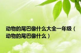 动物的尾巴像什么大全一年级（动物的尾巴像什么）