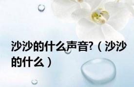 沙沙的什么声音?（沙沙的什么）