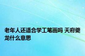 老年人还适合学工笔画吗 天府夔龙什么意思