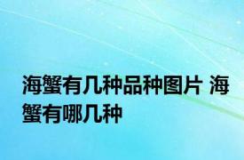 海蟹有几种品种图片 海蟹有哪几种