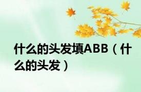 什么的头发填ABB（什么的头发）