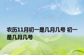 农历11月初一是几月几号 初一是几月几号