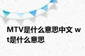 MTV是什么意思中文 wt是什么意思