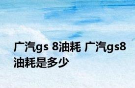 广汽gs 8油耗 广汽gs8油耗是多少