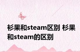 衫果和steam区别 杉果和steam的区别