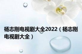 杨志刚电视剧大全2022（杨志刚电视剧大全）