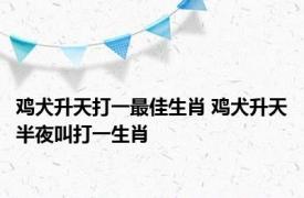 鸡犬升天打一最佳生肖 鸡犬升天半夜叫打一生肖