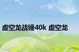 虚空龙战锤40k 虚空龙 