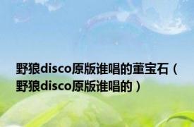 野狼disco原版谁唱的董宝石（野狼disco原版谁唱的）