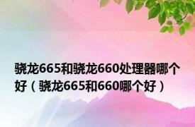 骁龙665和骁龙660处理器哪个好（骁龙665和660哪个好）