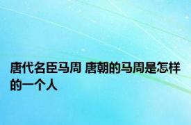 唐代名臣马周 唐朝的马周是怎样的一个人