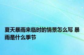 夏天暴雨来临时的情景怎么写 暴雨是什么季节