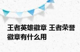 王者英雄徽章 王者荣誉徽章有什么用