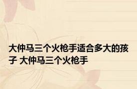 大仲马三个火枪手适合多大的孩子 大仲马三个火枪手 