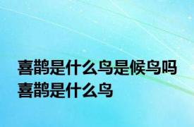 喜鹊是什么鸟是候鸟吗 喜鹊是什么鸟