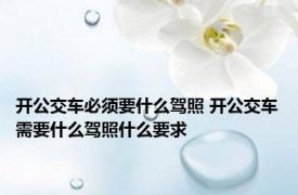 开公交车必须要什么驾照 开公交车需要什么驾照什么要求