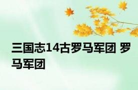 三国志14古罗马军团 罗马军团 