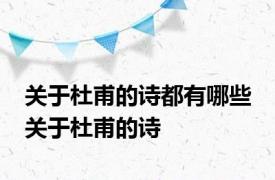 关于杜甫的诗都有哪些 关于杜甫的诗