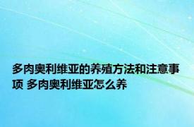 多肉奥利维亚的养殖方法和注意事项 多肉奥利维亚怎么养