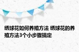 绣球花如何养殖方法 绣球花的养殖方法3个小步骤搞定