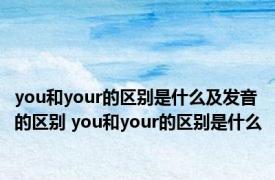 you和your的区别是什么及发音的区别 you和your的区别是什么