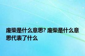 废柴是什么意思? 废柴是什么意思代表了什么