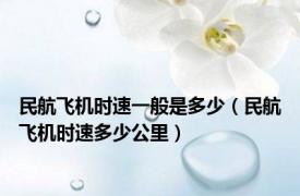 民航飞机时速一般是多少（民航飞机时速多少公里）