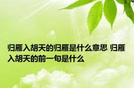 归雁入胡天的归雁是什么意思 归雁入胡天的前一句是什么