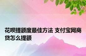 花呗提额度最佳方法 支付宝网商贷怎么提额