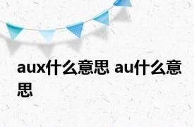 aux什么意思 au什么意思 