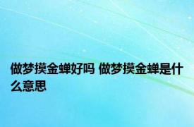 做梦摸金蝉好吗 做梦摸金蝉是什么意思