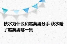 秋水为什么和赵英男分手 秋水睡了赵英男哪一集