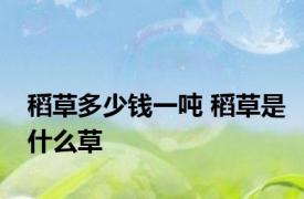 稻草多少钱一吨 稻草是什么草