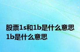 股票1s和1b是什么意思 1b是什么意思