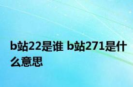 b站22是谁 b站271是什么意思