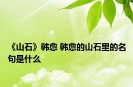 《山石》韩愈 韩愈的山石里的名句是什么