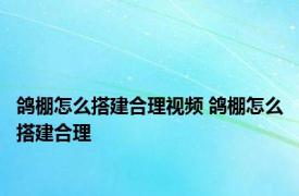 鸽棚怎么搭建合理视频 鸽棚怎么搭建合理