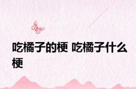 吃橘子的梗 吃橘子什么梗