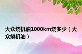 大众烧机油1000km烧多少（大众烧机油）