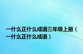 一什么正什么成语三年级上册（一什么正什么成语）