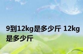 9到12kg是多少斤 12kg是多少斤