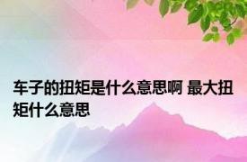 车子的扭矩是什么意思啊 最大扭矩什么意思