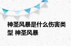 神圣风暴是什么伤害类型 神圣风暴 