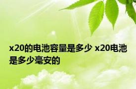 x20的电池容量是多少 x20电池是多少毫安的