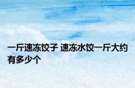 一斤速冻饺子 速冻水饺一斤大约有多少个