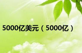 5000亿美元（5000亿）