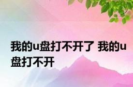 我的u盘打不开了 我的u盘打不开 