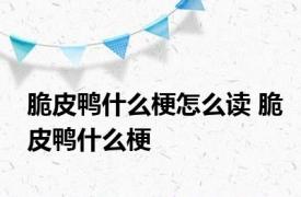 脆皮鸭什么梗怎么读 脆皮鸭什么梗