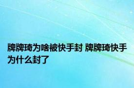 牌牌琦为啥被快手封 牌牌琦快手为什么封了