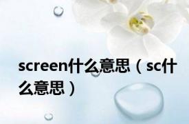 screen什么意思（sc什么意思）